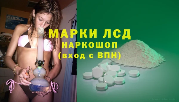 гашик Наволоки