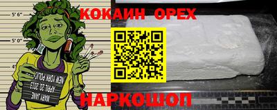 индика Гатчина