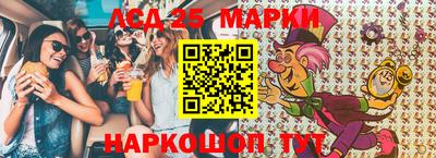 индика Гатчина