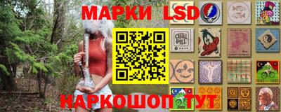 индика Гатчина