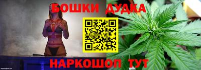 дурь Гай