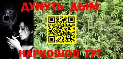 индика Гатчина