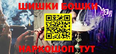 индика Гатчина