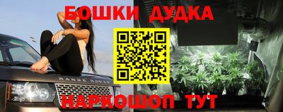 дурь Гай