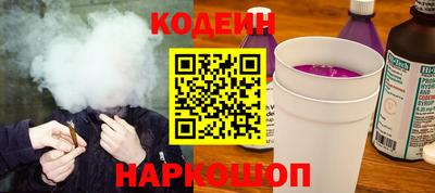 индика Гатчина