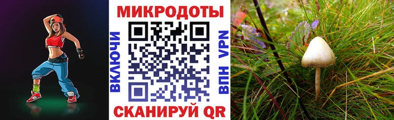 Псилоцибиновые грибы прущие грибы  наркота  Новоуральск 