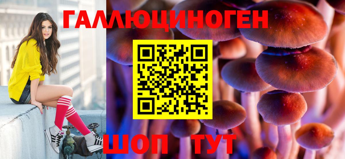 Новоуральск  Псилоцибиновые грибы MAGIC MUSHROOMS  Вход с VPN 