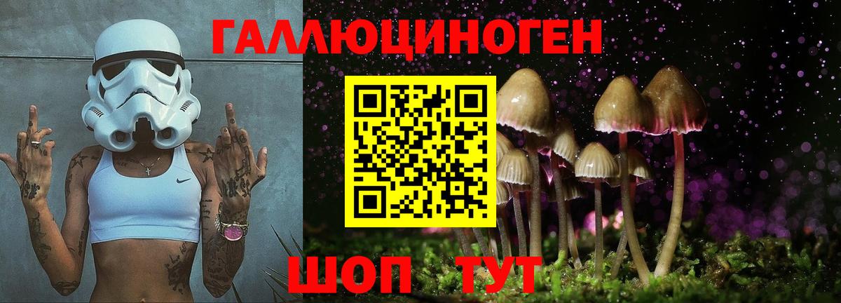 Галлюциногенные грибы Psilocybine cubensis Новоуральск